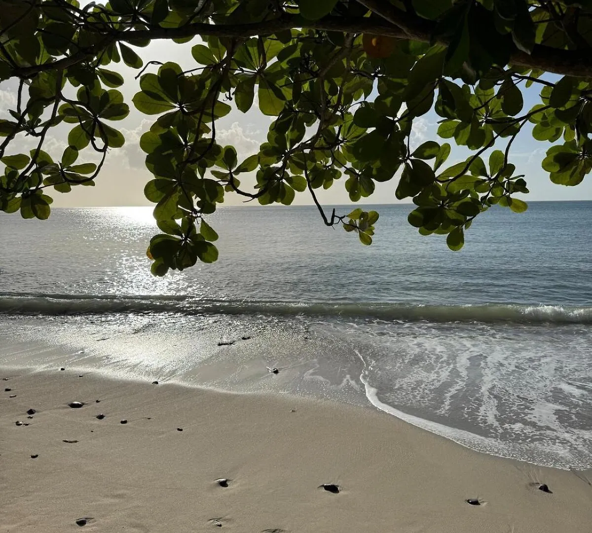 Villa La Mer Ocean View Marisule Ridge Gros Islet